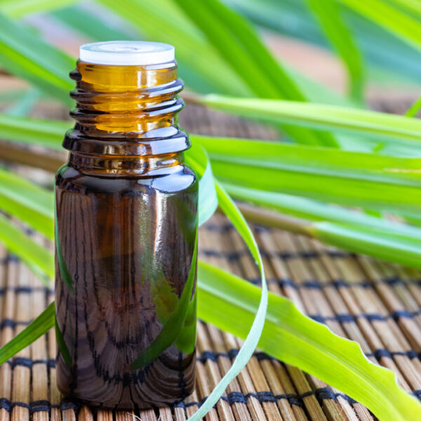 CITRONELLA ESSENTIAL OIL