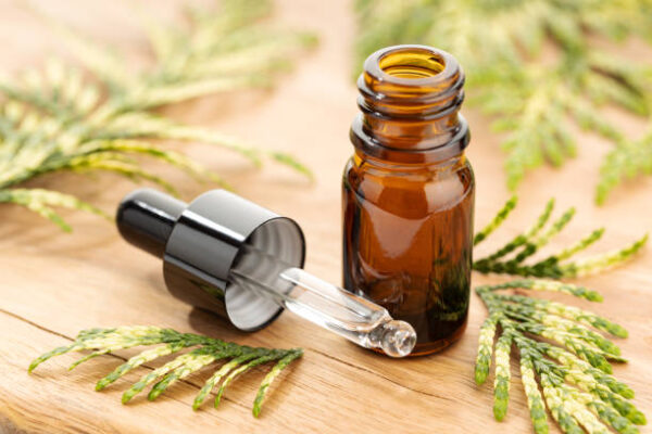 Cypress Essential Oil