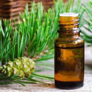 PINE ESSENTIAL OIL