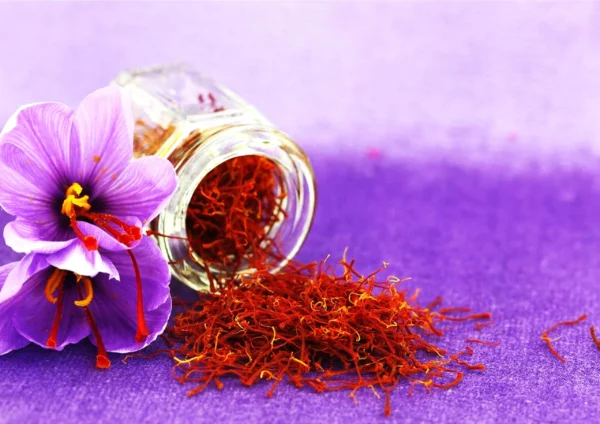 SAFFRON POWDER