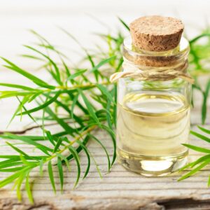 TEA TREE ESSENTIAL OIL