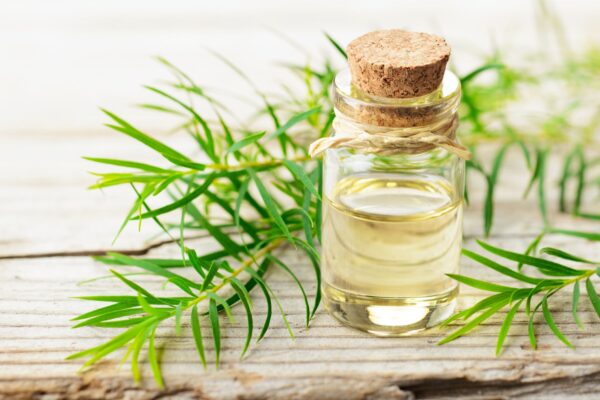 TEA TREE ESSENTIAL OIL