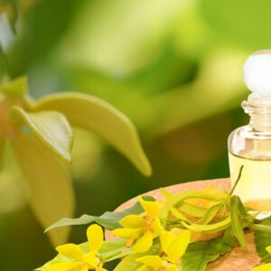 YLANG YLANG ESSENTIAL OIL