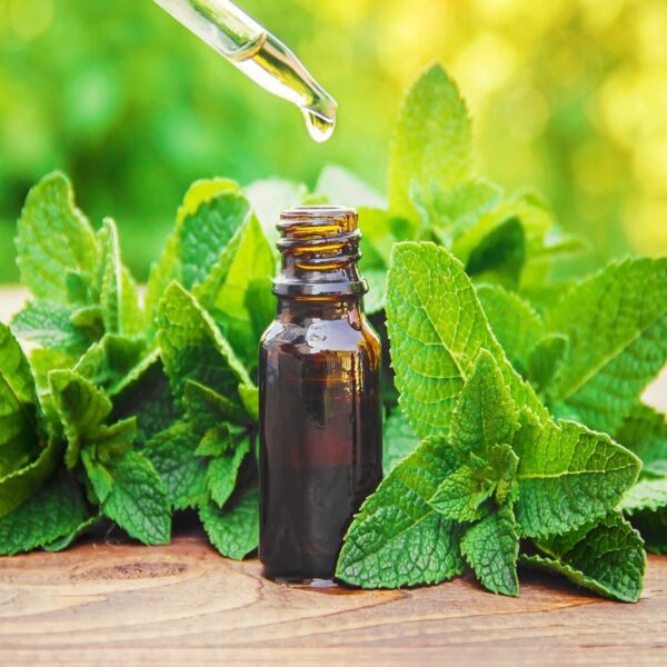 PEPPERMINT ESSENTIAL OIL