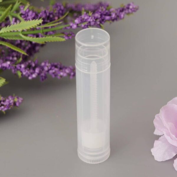 CHAP STICK TRANSPARENT