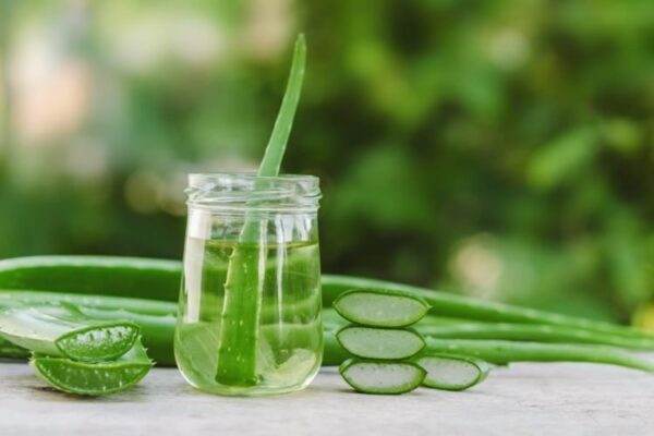 Aloe vera Extract Liquid
