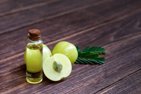 Amla Extract (WS)
