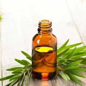 Bhringraj Extract( WS)