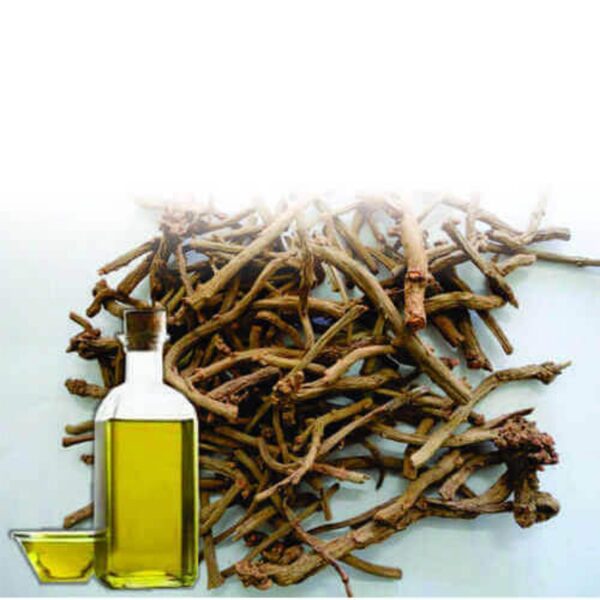 Manjistha Essential Oil