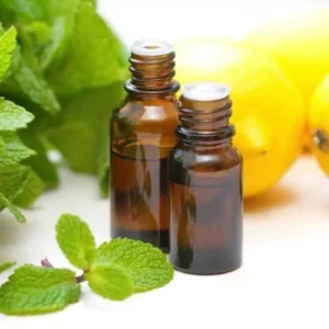 Cool Mint Fragrance (WS) Best for Toner ETC.