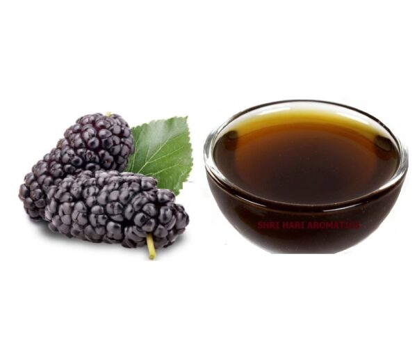 Mulberry Extract (WS)