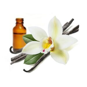 Vanilla Fragrance