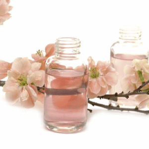Japaness Cherry Blossom